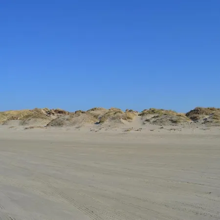 Elinora - 100m From The Sea In Western Jutland By Interhome Lakolk